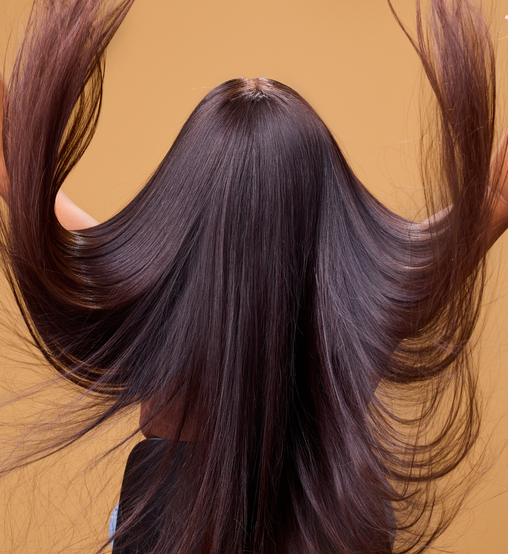 The Silky Straight Closure Wig