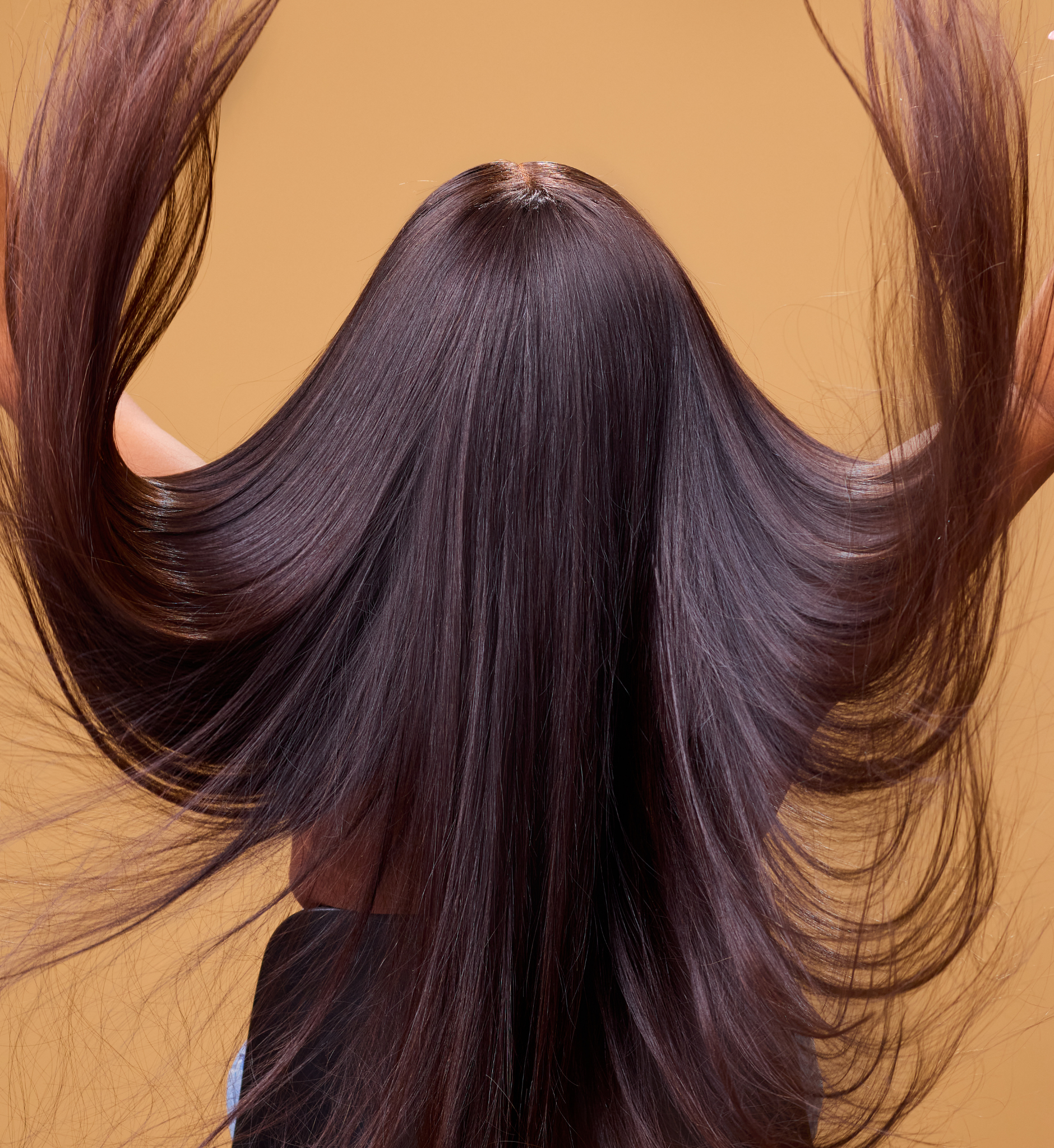 The Silky Straight Closure Wig